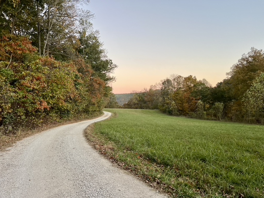 Gravel drive winding past a meadow and fall trees at sunset at Snug Hollow Farm