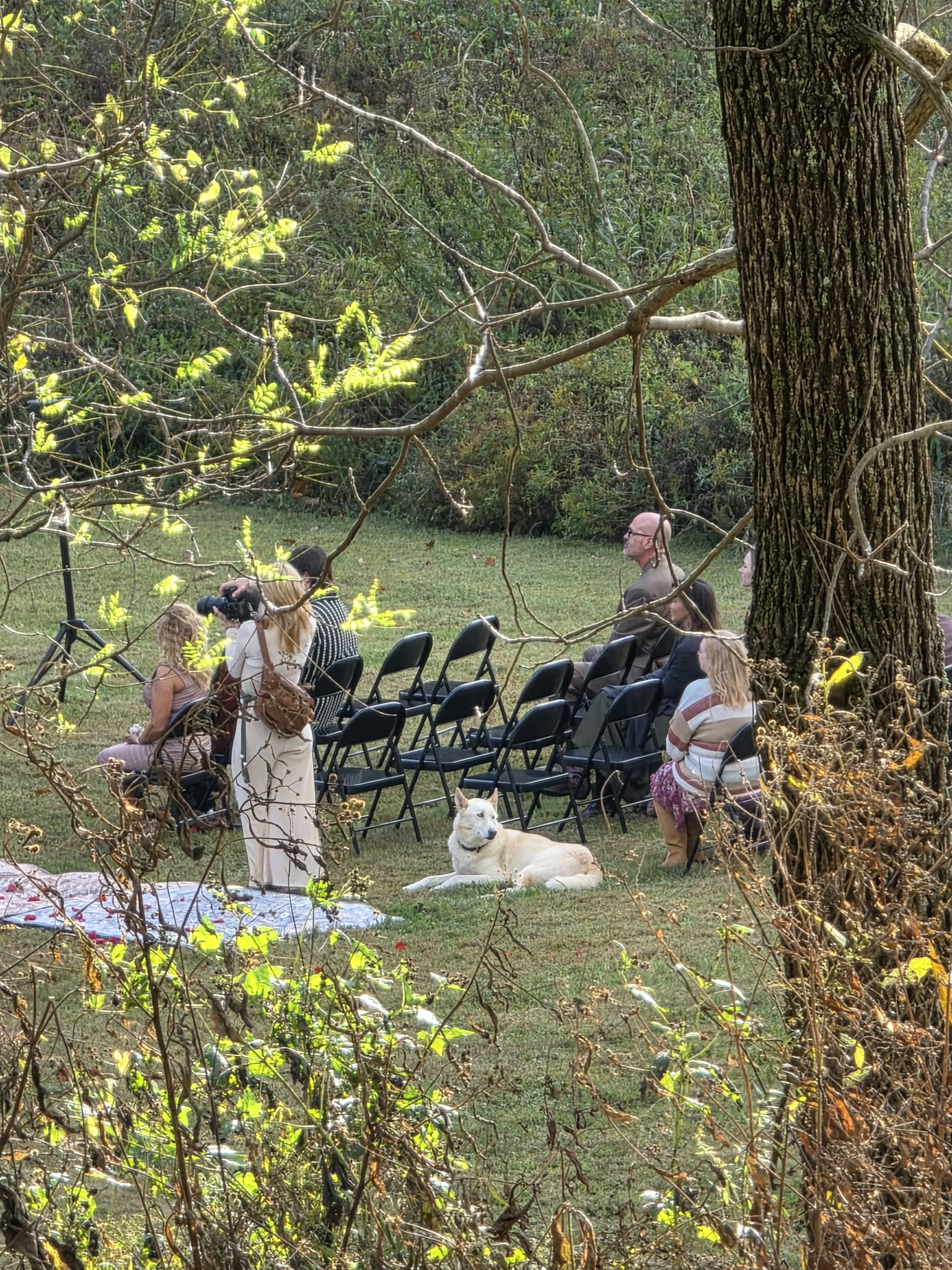 Outdoor wedding ceremony at Snug Hollow Farm