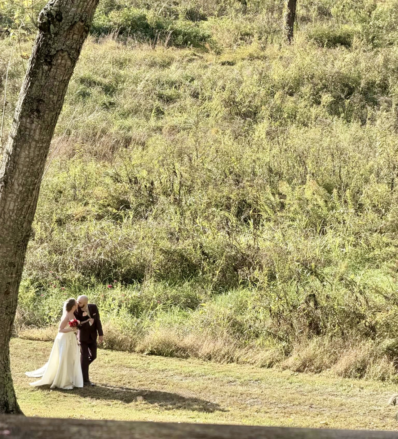 Newlyweds share a kiss in the meadow at Snug Hollow Farm