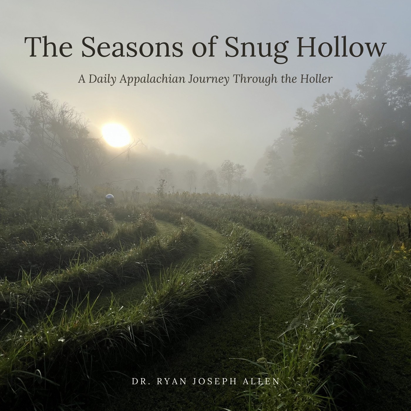 Front cover of The Seasons of Snug Hollow by Dr. Ryan Joseph Allen, showing the labyrinth in morning fog